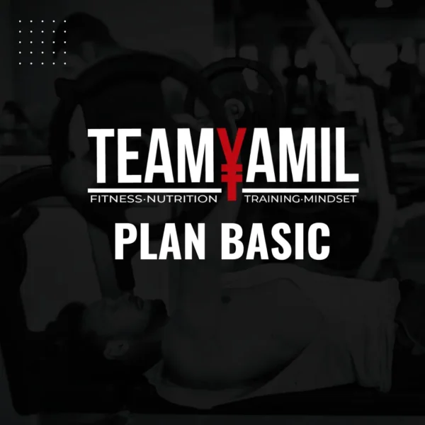 PLAN BASIC